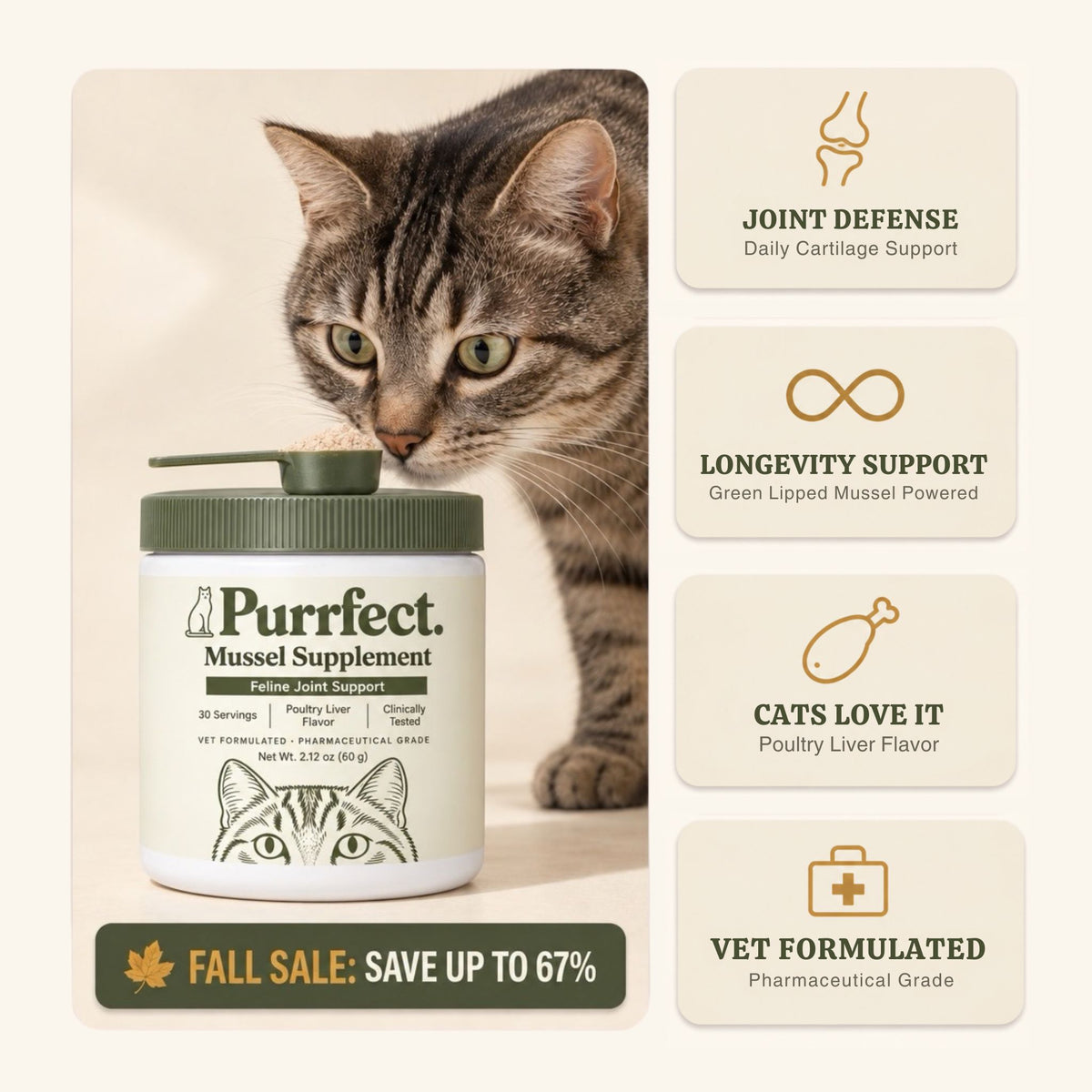 Purrfect™ Mussel Supplement